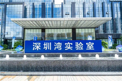 深圳灣實(shí)驗(yàn)室
