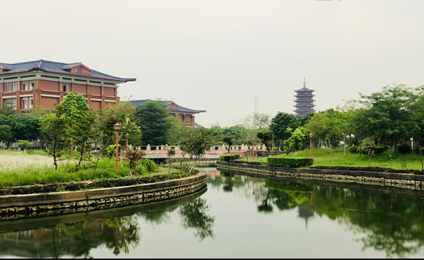參會資訊-南醫(yī)藥劑青年學(xué)者高峰論壇