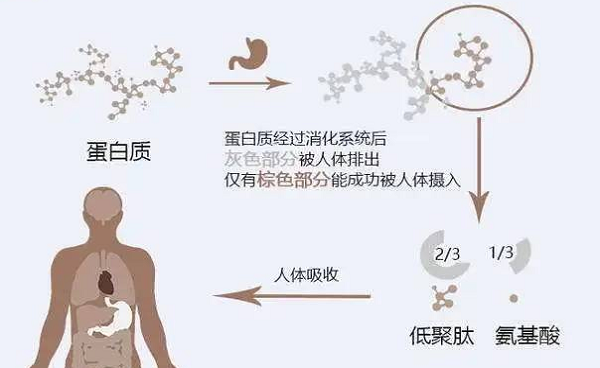 選擇離心濃縮儀時(shí)應(yīng)該注意哪些事項(xiàng)呢？