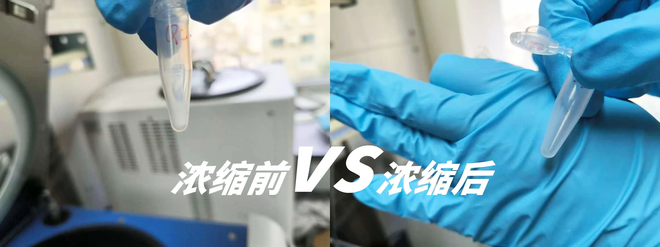 離心濃縮儀在脂質(zhì)代謝物中的應(yīng)用